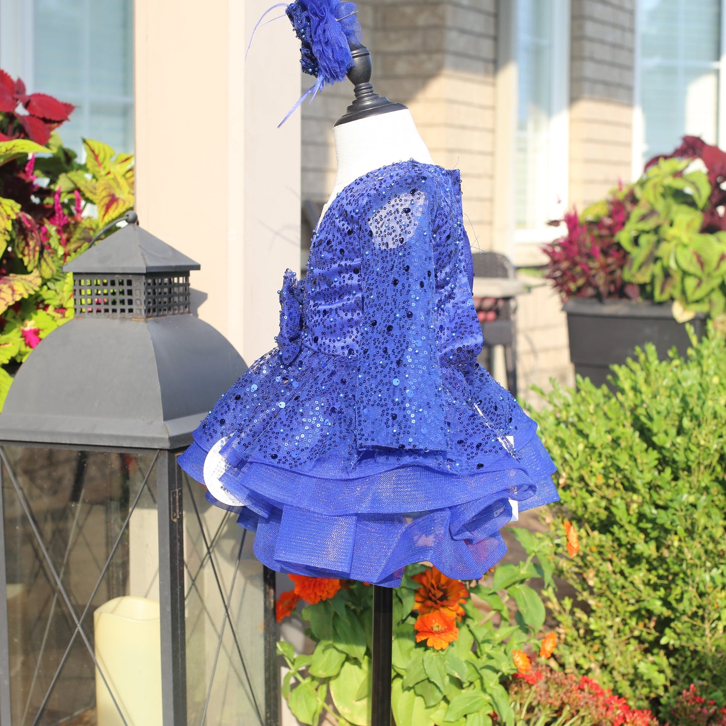 Royal Blue Princess Dress